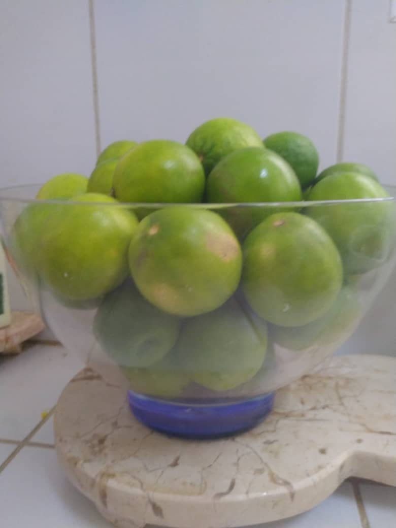Un bol lleno de limones criollos cubanos