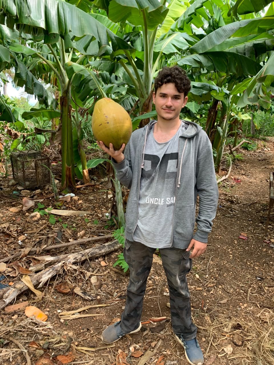 Un joven sostiene un coco en un platanal en Cuba