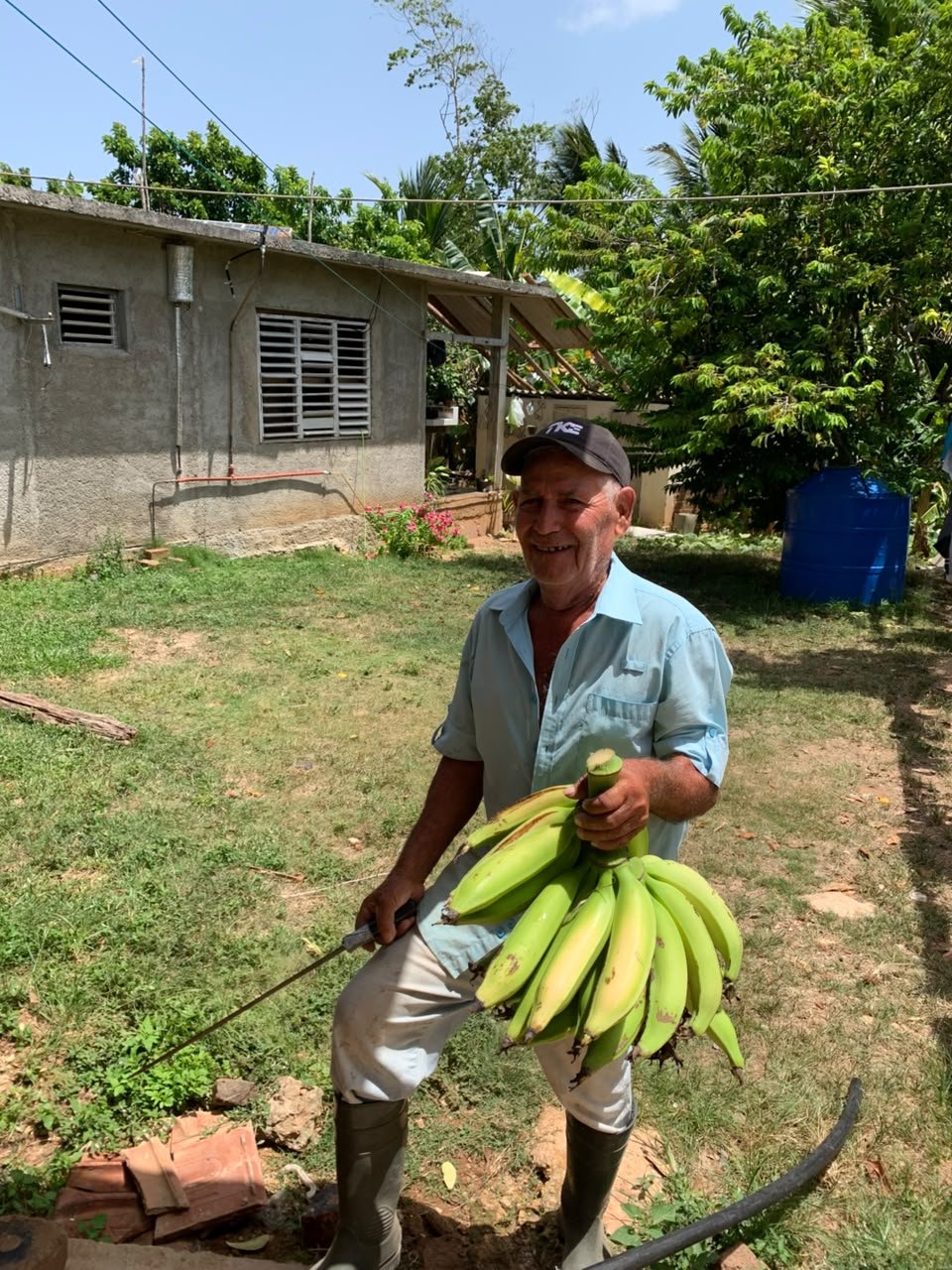 Un agricultor cubano con un racimo de plátanos recién cortado