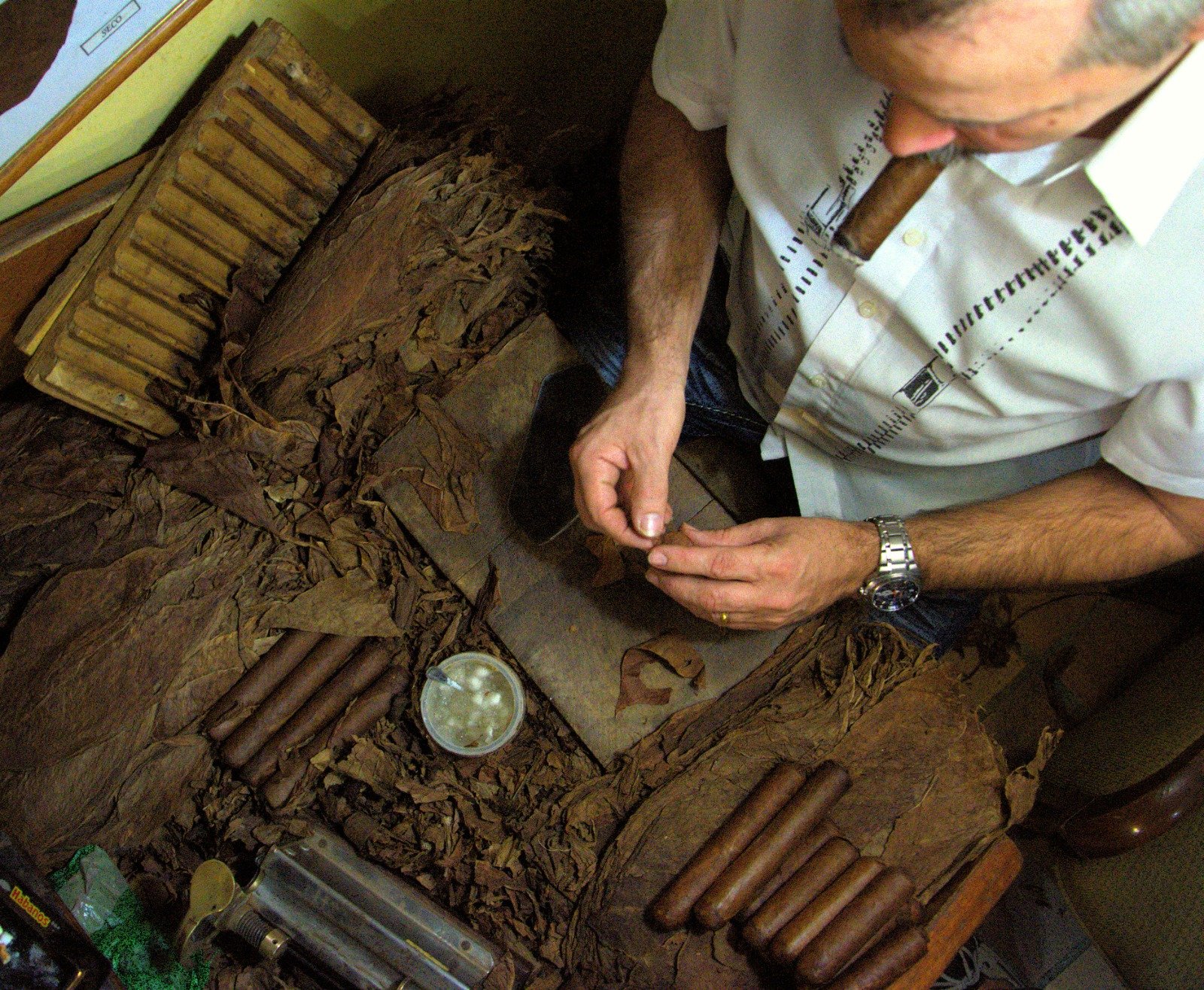 Torcedor enrollando tabaco cubano a mano